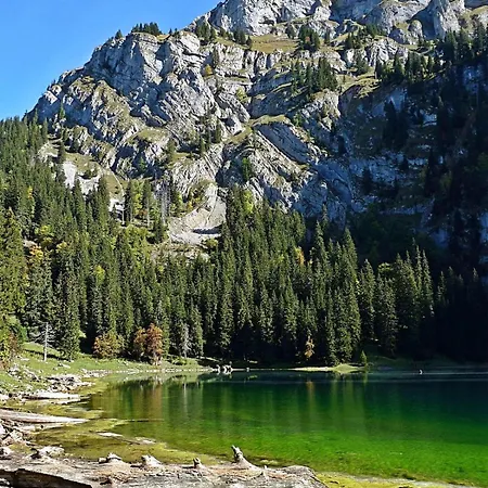Chalet Bergchalet Mit Panoramablick Nahe Brienz Axalp
