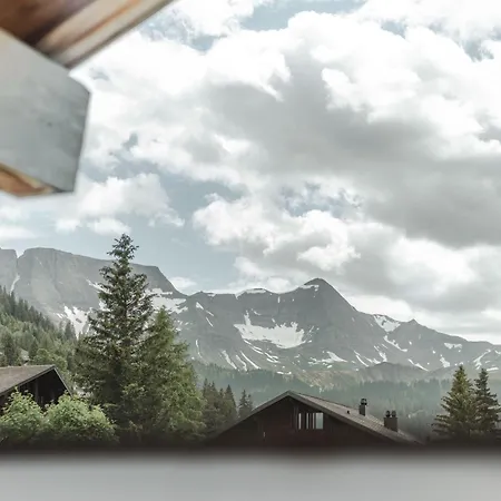 Bergchalet Mit Panoramablick Nahe Brienz