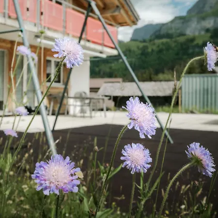 Bergchalet Mit Panoramablick Nahe Brienz *