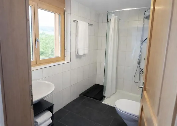 Bergchalet Mit Panoramablick Nahe Brienz Axalp